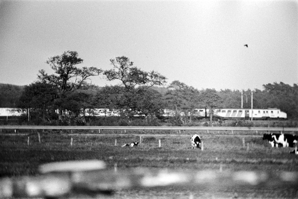 Derde dag gijzeling trein De Punt de gekaapte trein, Bestanddeelnr 929-1977