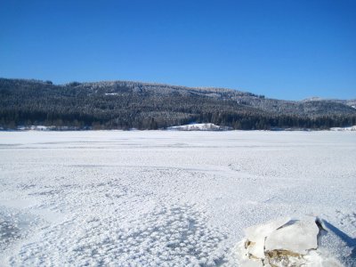 Der zugefrorene Schluchsee 1