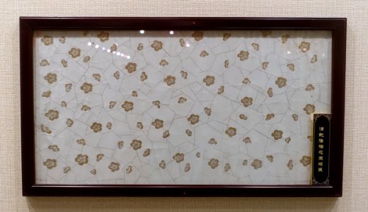 Design - Sichuan University Museum - Chengdu, China - DSC06180
