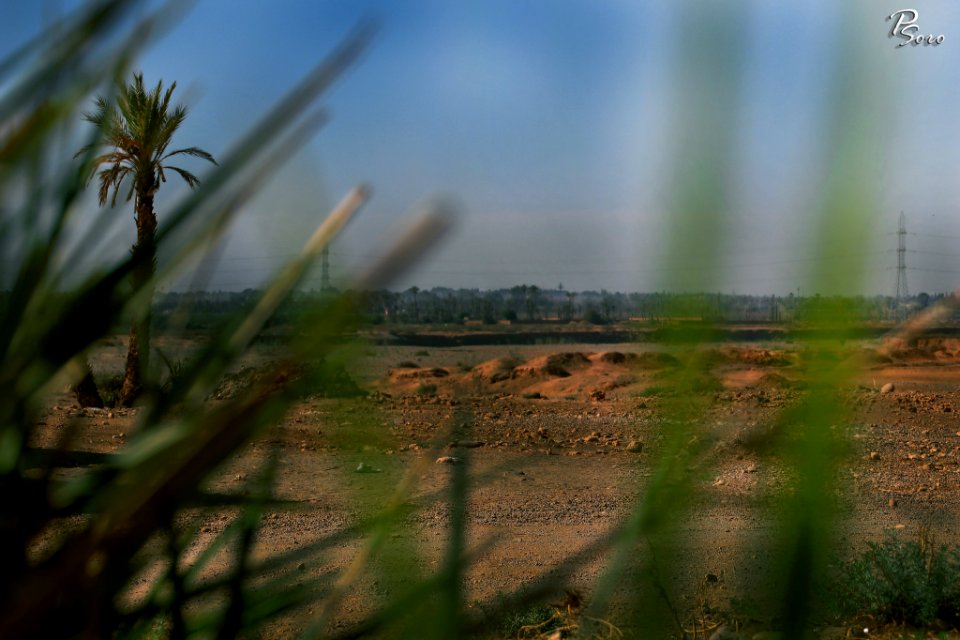 Desert Africa Morocco (233523371)