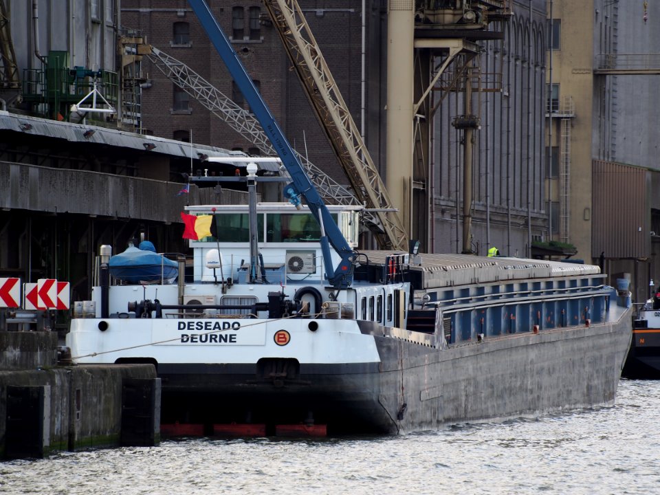 Deseado (ship, 1970), ENI 06000175, Port of Antwerp