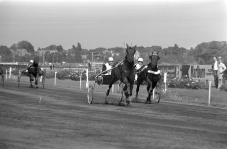 Derby K te Duindigt, Keen Speed met jockey J Kleyweg (rechts) en tweede van rec, Bestanddeelnr 925-7909