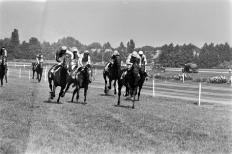 Derby der renpaarden op Duindigt Zilverster met Jones (r) finisht als eerste, Bestanddeelnr 929-2604