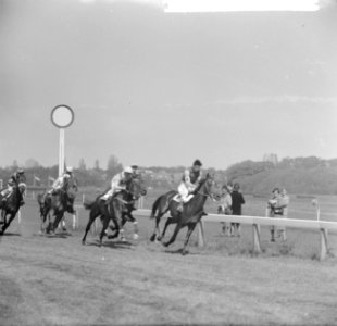 Derby op Duindigt (Flocondor), Bestanddeelnr 913-9896