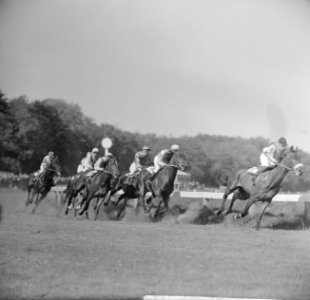Derby op Duindigt (Flocondor), Bestanddeelnr 913-9898