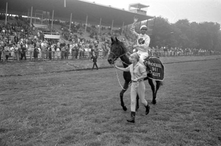 Derby Duindigt 1966, winnaar Jolly Jinks bereden door A.W. van Dijk maakt ereron, Bestanddeelnr 919-2429