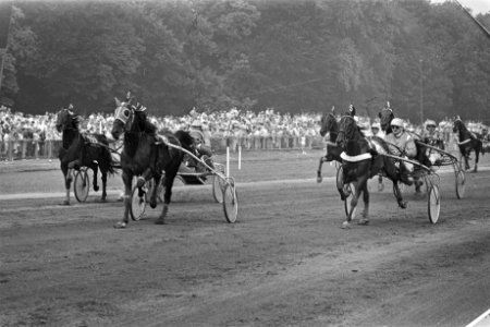 Derby Duindigt no. 6 winnaar Vancouver Cede , no. 5 Volo Prise (no. 2), no. 11, Bestanddeelnr 932-2625