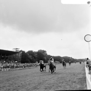 Derby op Duindigt, Queen of Roses S met berijder R Wetemans gaat als winnaar ov, Bestanddeelnr 926-5620