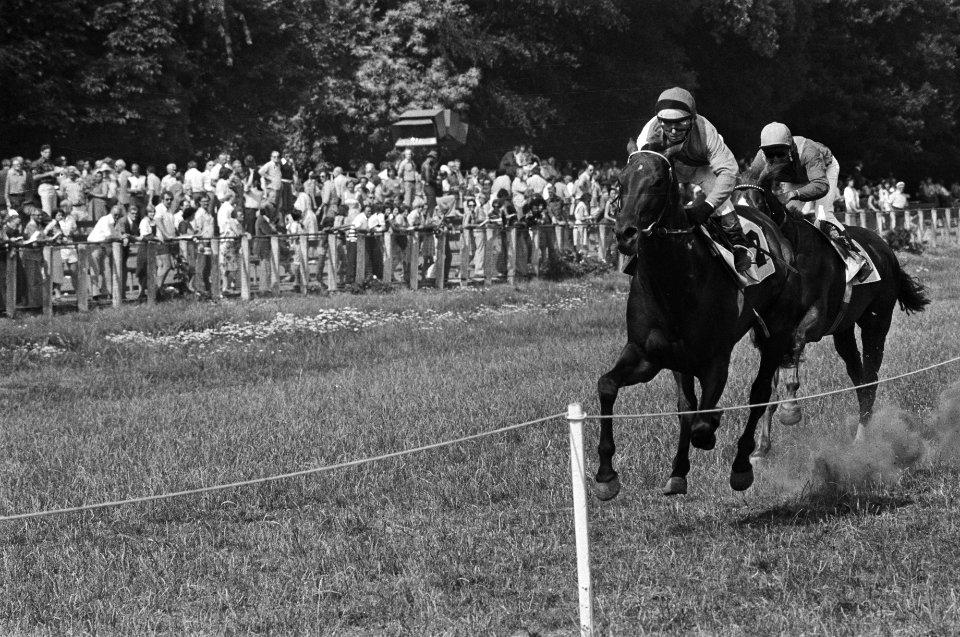 Derby op Duindigt, Francis Hope (rechts) finisht als eerste, Bestanddeelnr 928-6754