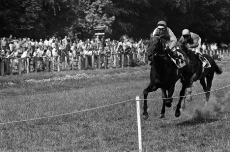 Derby op Duindigt, Francis Hope (rechts) finisht als eerste, Bestanddeelnr 928-6754