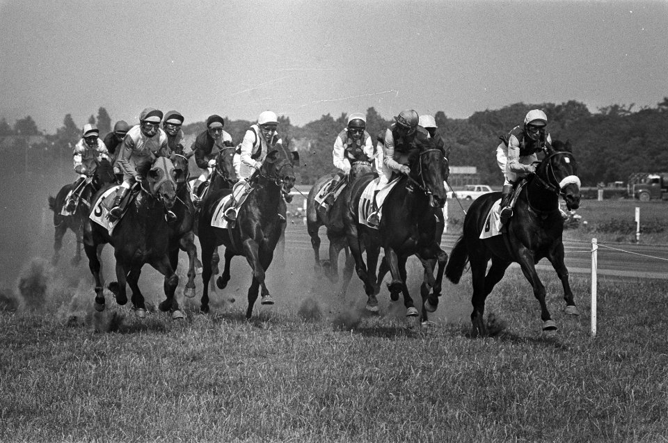 Derby op Duindigt, Francis Hope (rechts) finisht als eerste, Bestanddeelnr 928-6753