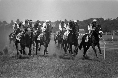 Derby op Duindigt, Francis Hope (rechts) finisht als eerste, Bestanddeelnr 928-6753