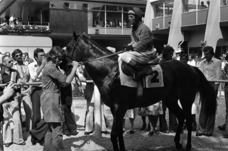Derby op Duindigt, winnaar Francis Hope met T Treanor, Bestanddeelnr 928-6755