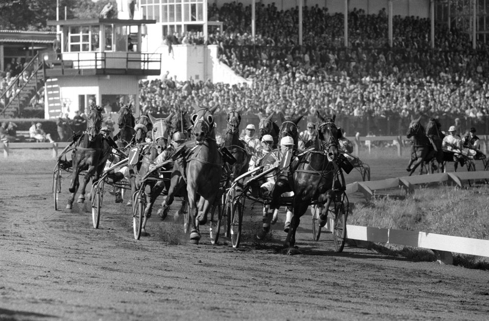 Derby Duindigt . Het veld in de bocht, Bestanddeelnr 912-8137