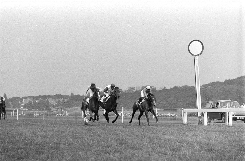 Derby op Duindigt, v.l.n.r. Ina Schwartzhachel met Cleopatra als eerste over fin, Bestanddeelnr 924-7256
