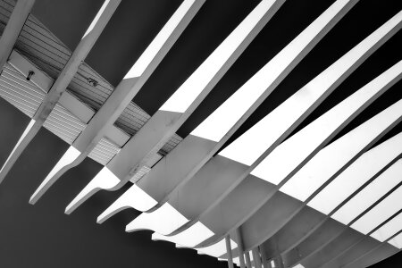 Malaga roof construction