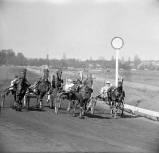 Derby op Duindigt (Flocondor), Bestanddeelnr 913-9893
