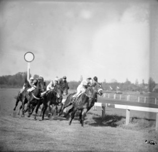 Derby op Duindigt (Flocondor), Bestanddeelnr 913-9892