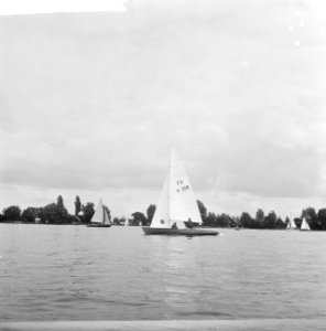 Derde dag van Internationale Hollandweek op Loosdrechtse Plassen . Zeilboten op , Bestanddeelnr 912-7847