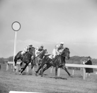 Derby op Duindigt (Flocondor), Bestanddeelnr 913-9899