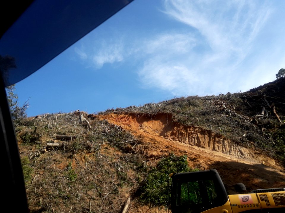 Desmatamento da Mata Atlântica, Caraguatatuba