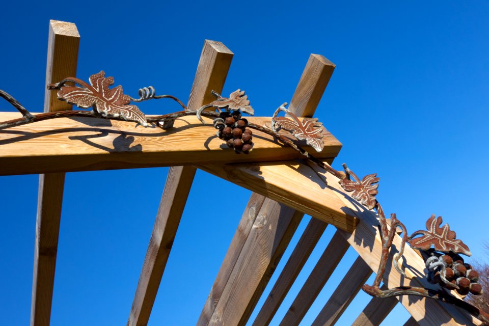 Detail of pergola in vineyard