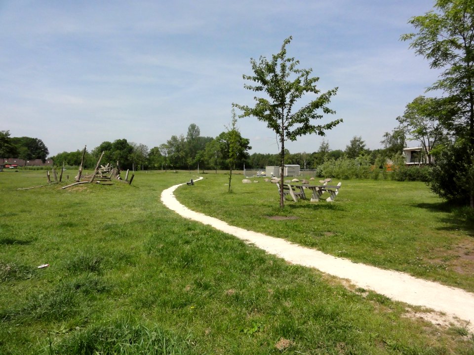Dolphia (Enschede) terrein van gesloopte huizen omgeving Louis Bothastraat
