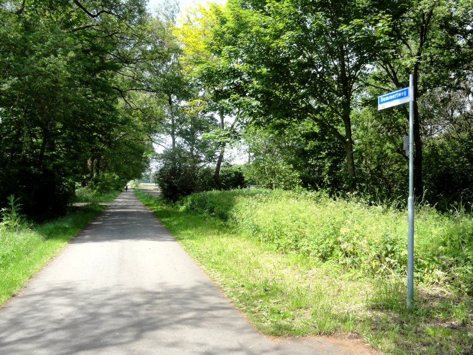 Dolphia (Enschede) Dommertweg vanaf hoek Lentepad-Veltzichtweg