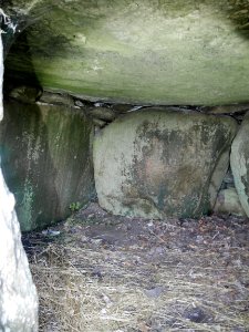 DolmenVonEllidshøjH8
