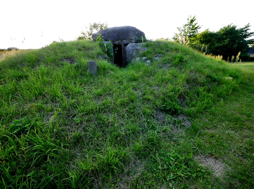 DolmenVonEllidshøjH5