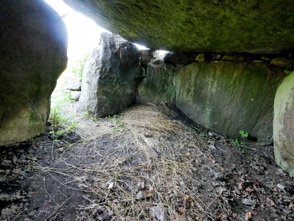 DolmenVonEllidshøjH6