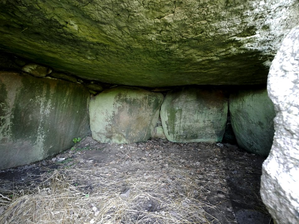 DolmenVonEllidshøjH7