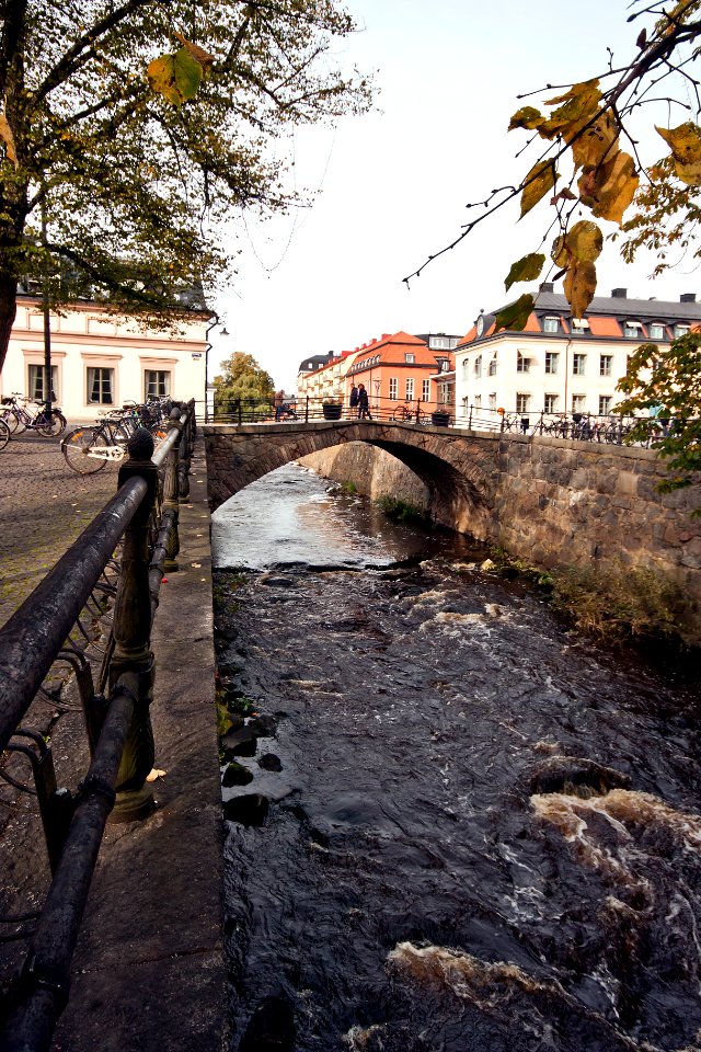 Dombron i Uppsala