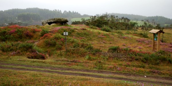 Dolmen da Muruxosa forno dos mouros Toques A Coruña