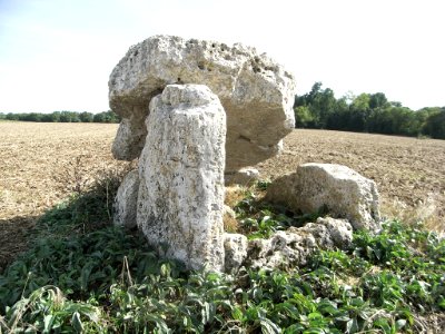 Dolmen de la Pierre Fouquerée 01