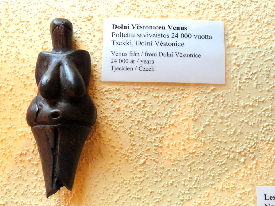 Dolní Věstonice Venus - Fossils in the Arppeanum - DSC05513