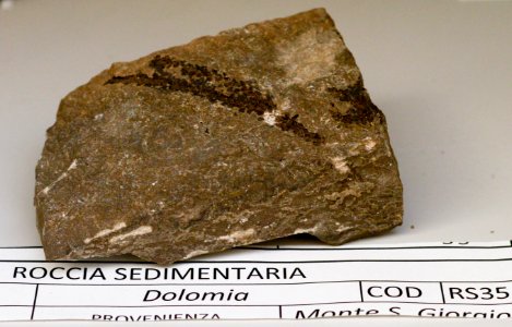 Dolomia - Collezione mineralogica - Università dell’Insubria