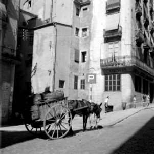 Door muilezel getrokken kar in Barcelona, Bestanddeelnr 254-0758