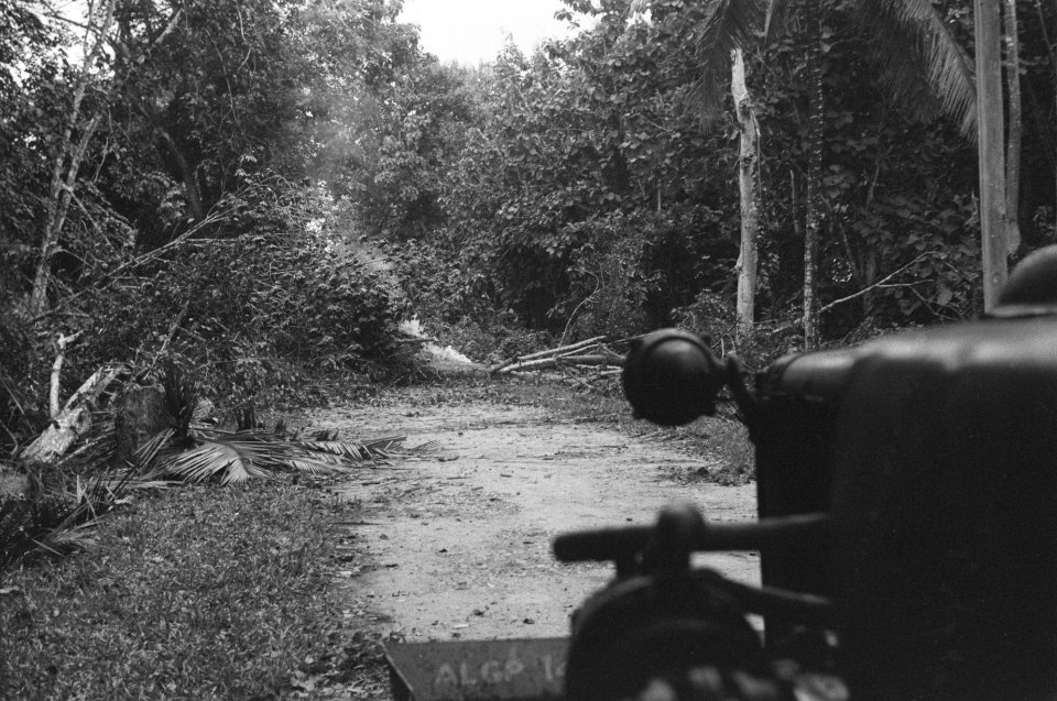 Door terugtrekkende TNI-troepen gevelde bomen vormen een wegversperring. Rook st, Bestanddeelnr 325-1-4