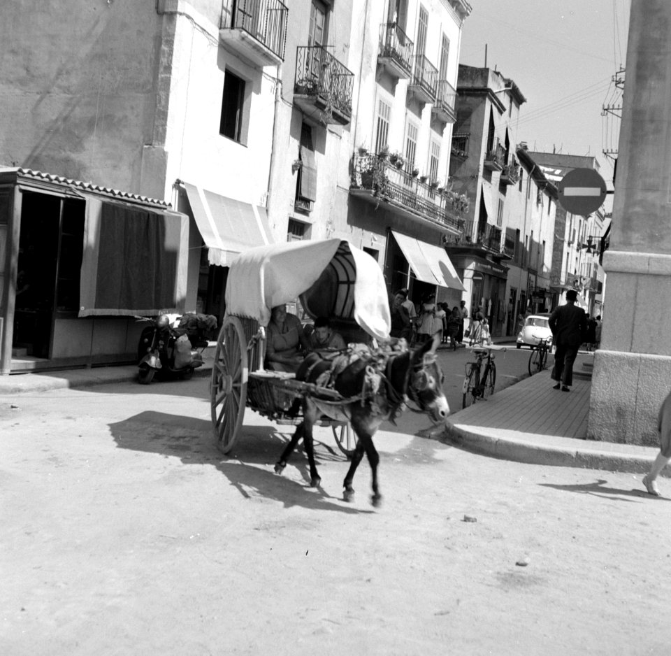 Door muilezel getrokken kar in Barcelona, Bestanddeelnr 254-0759