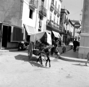 Door muilezel getrokken kar in Barcelona, Bestanddeelnr 254-0759