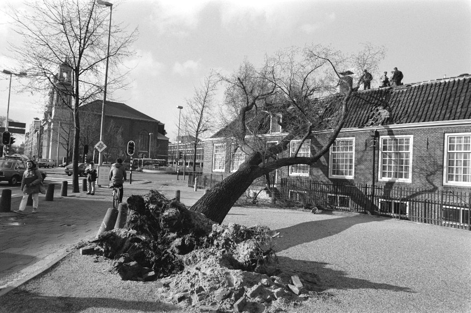 Door storm omgewaaide boom beschadigt dak synagoge op J. D. Meyerplein in Amster, Bestanddeelnr 933-6078