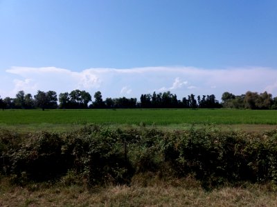 Domaine de Méjanes - Parcours en train - Rizière