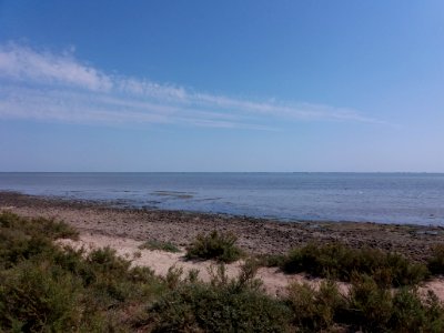 Domaine de Méjanes - Parcours en train - Étang de Vaccarès