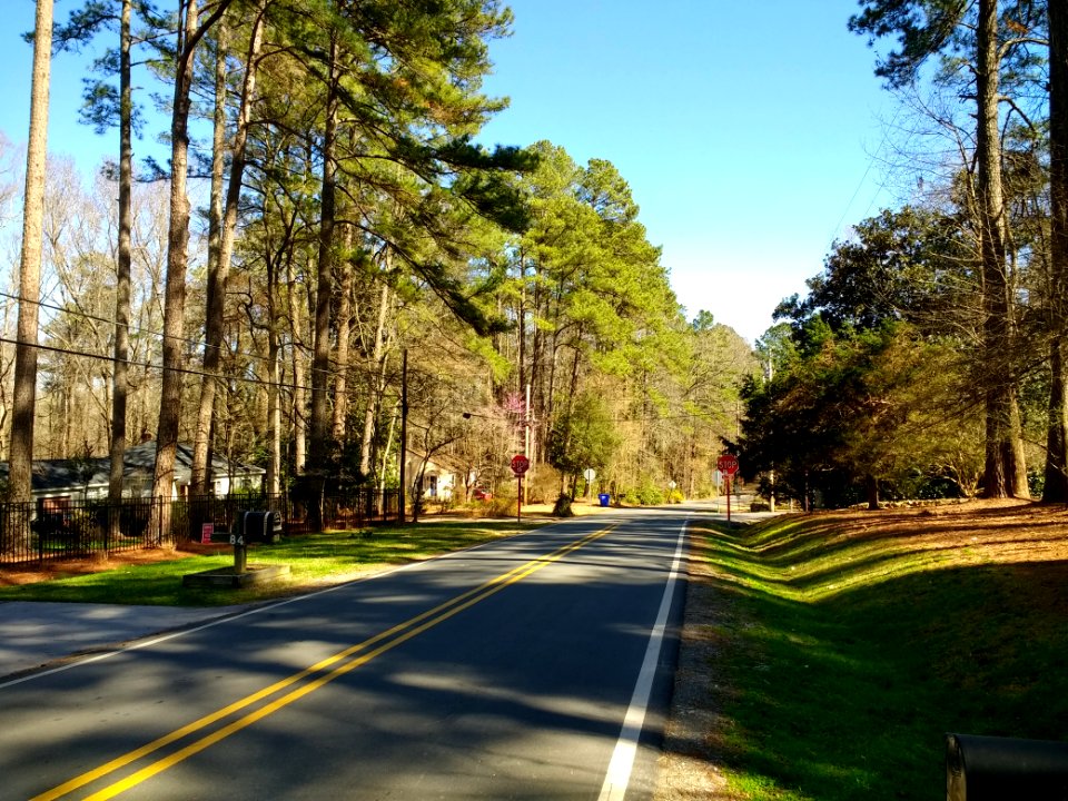 Dogwood Acres, Orange County, North Carolina 1