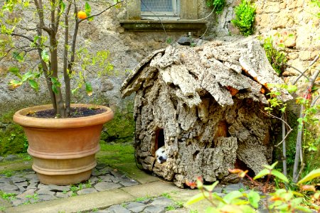 Doghouse - Torrecchia Vecchia - Cisterna di Latina, Italy - DSC03485