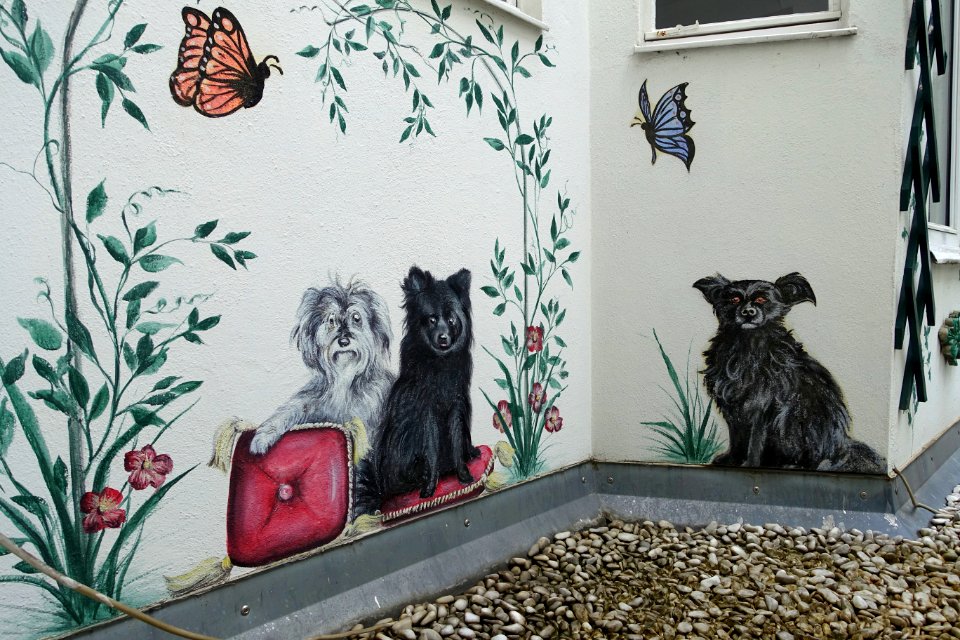 Dogs and butterflies - Neumünster - Würzburg, Germany - DSC05238