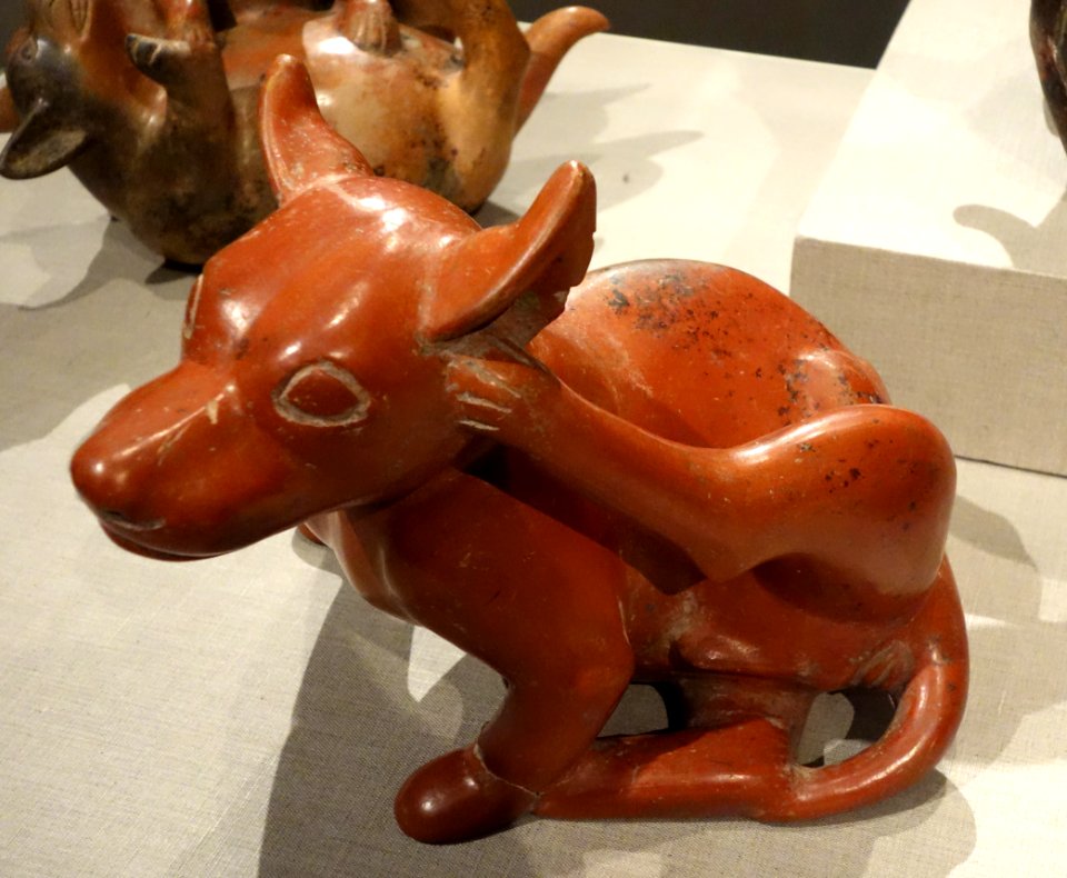 Dog scratching its head, West Mexico, Colima, 300 BC to 300 AD, earthenware - De Young Museum - DSC00448