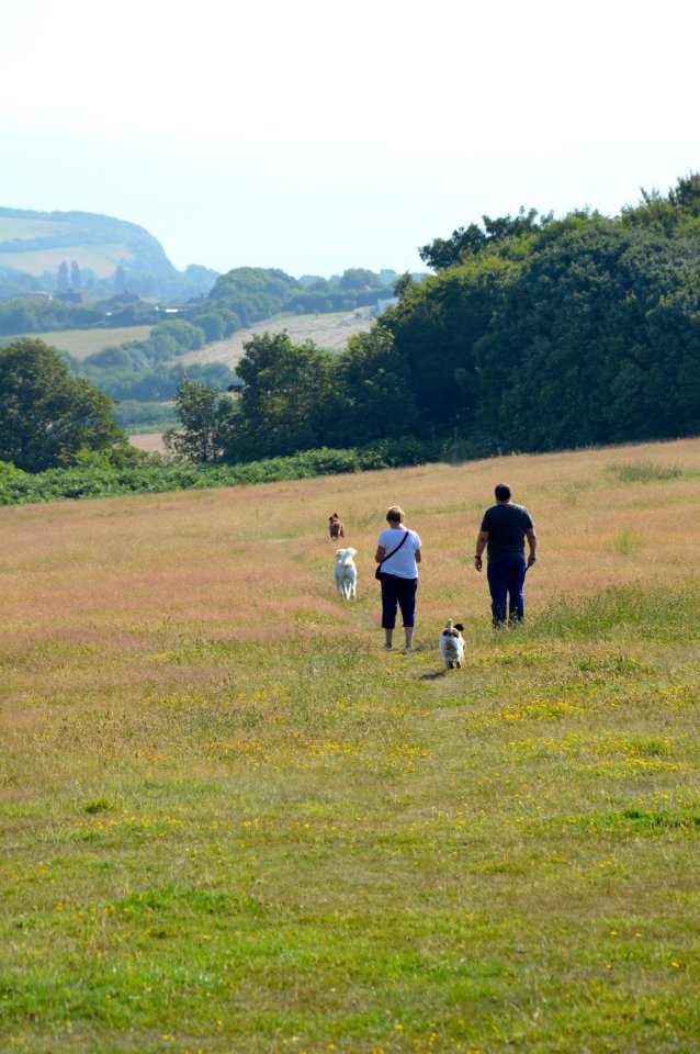 Dog walkers in Hastings Country Park