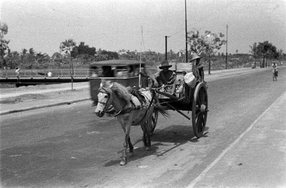 Dokar (paard en wagen) op een brede straat, Bestanddeelnr 6497